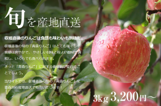りんごの惑星ネットショップ　青森りんごの販売