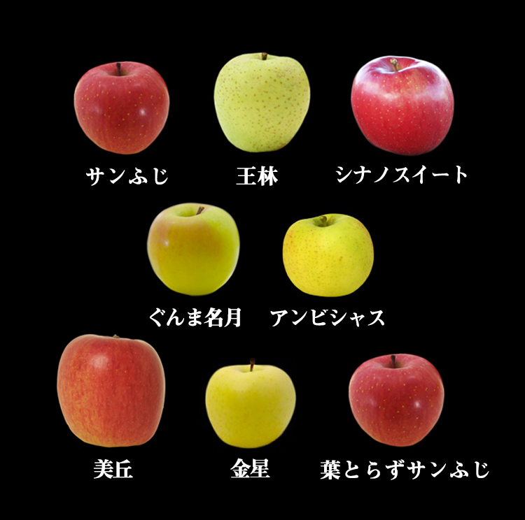 りんごの惑星多種詰め合わせ8種